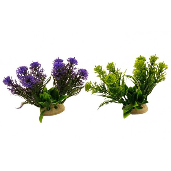 ΔΙΑΚΟΣΜΗΤΙΚΟ ΦΥΤΟ ΕΝΥΔΡΕΙΟΥ ΣΕ 2 ΧΡΩΜΑΤΑ 11Χ6CM